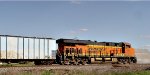 BNSF 4291